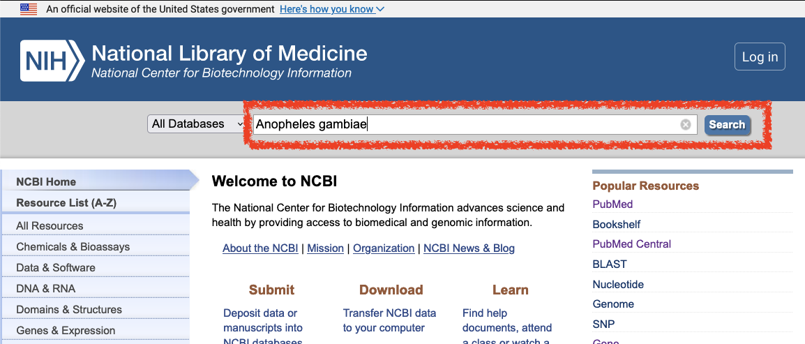 NCBI homepage search