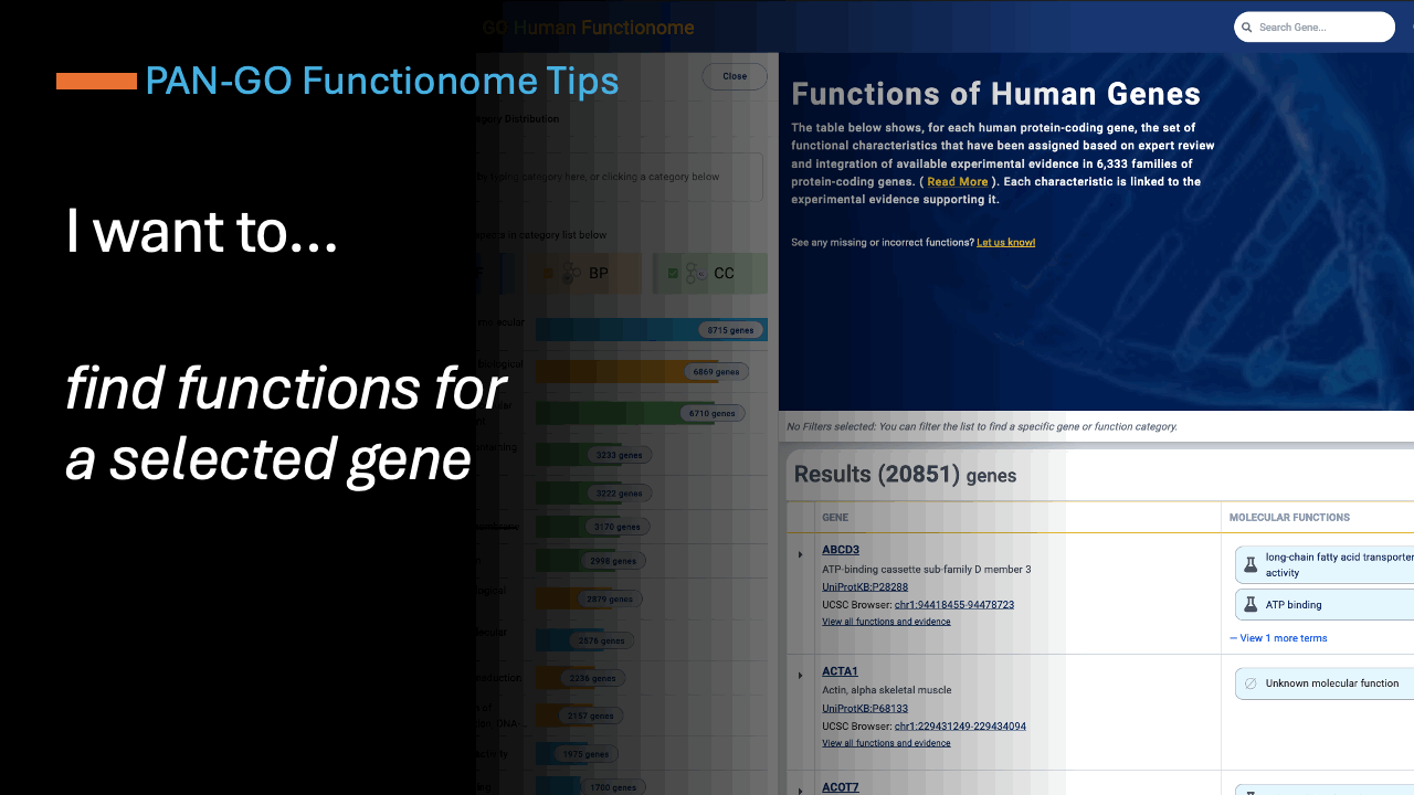 Finding functions of a human gene in the PAN-GO Functionome